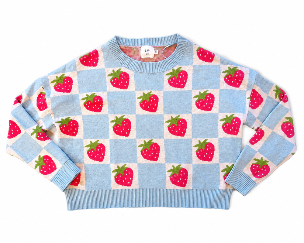 Luna Ivy Anthropologie Blue Checkered Strawberry Pullover Sweater Size Medium